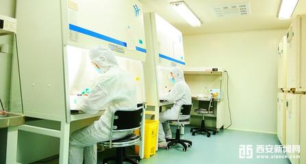 秦漢新城大健康產業加速布局 大型GMP生物實驗室即將投用，助推醫學研發新突破